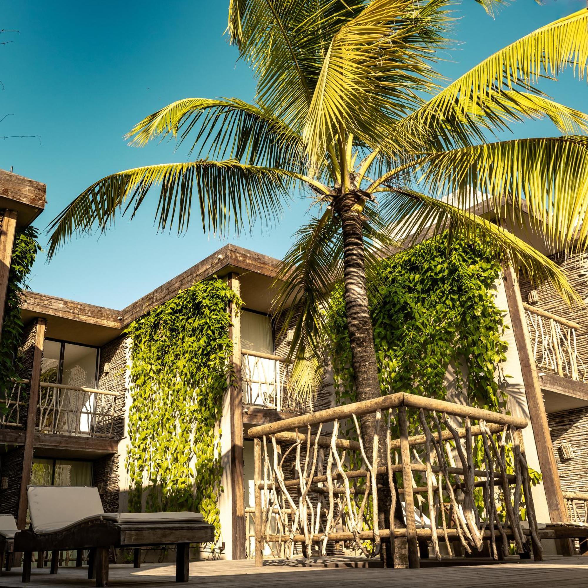 Apenunga Eco Hotel ジジョーカ・デ・ジェリコアコアラ エクステリア 写真
